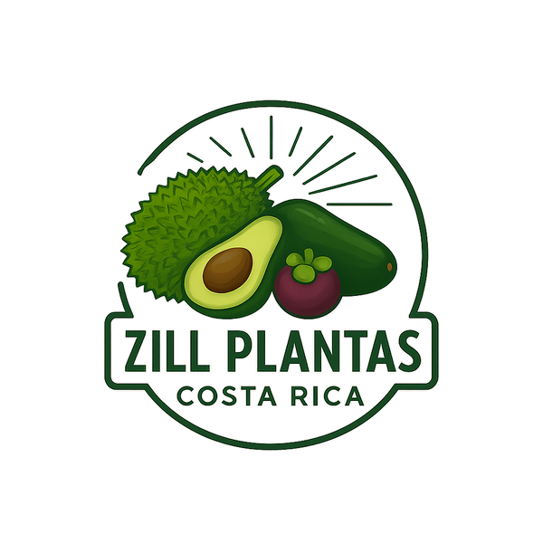 Zill Plantas Costa Rica 
