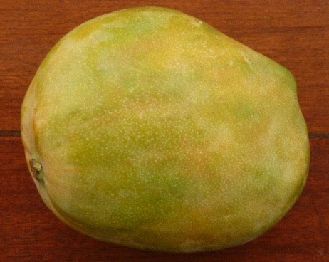 Mango - NDM